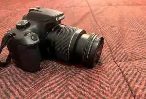 stock