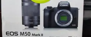 stock