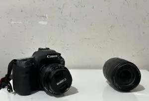 stock