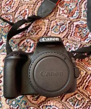 stock