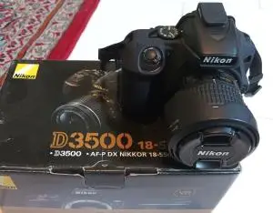 stock