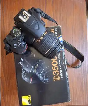 stock