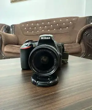 stock