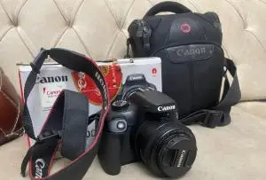 stock