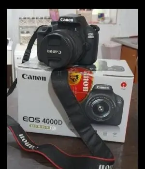 stock