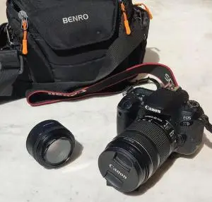 stock