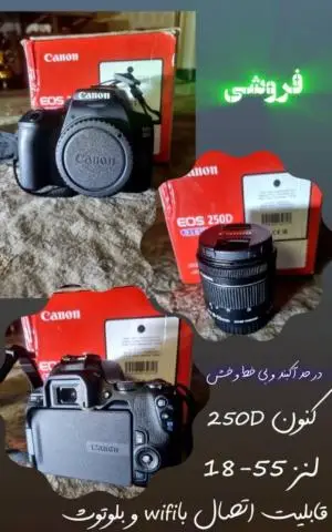 stock