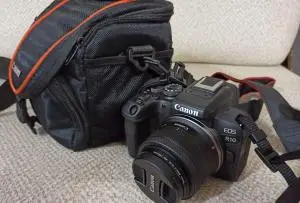 stock