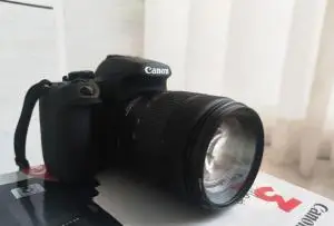 stock