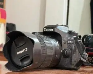 stock