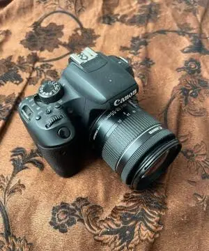 stock