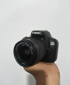 stock