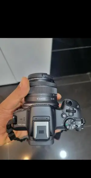 stock