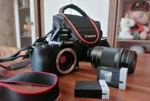 stock