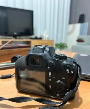 stock