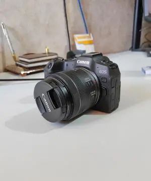 stock