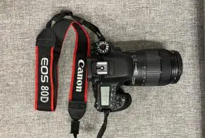 stock