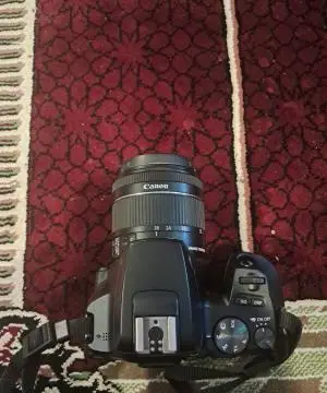 stock