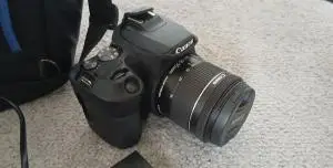 stock