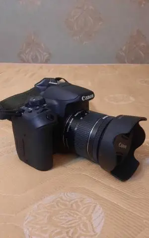 stock