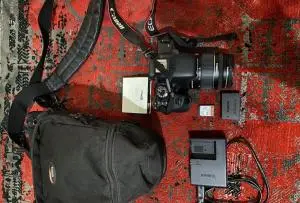 stock