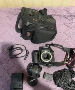 stock