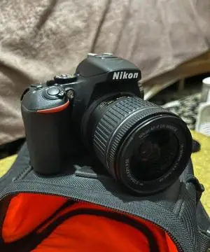 stock