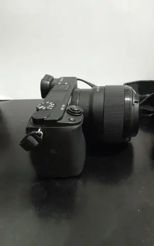 stock