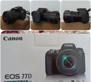 stock