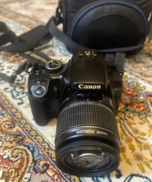 stock