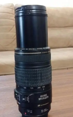stock