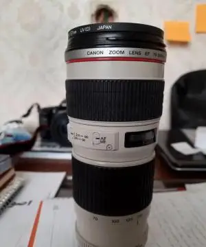stock