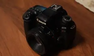 stock