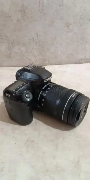 stock