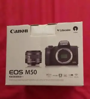 stock