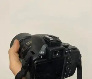 stock