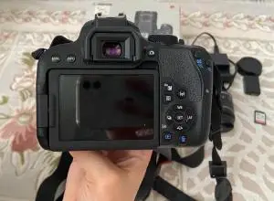 stock