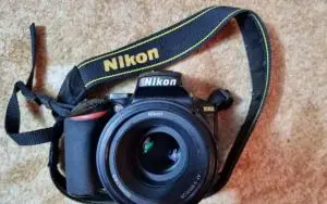 stock