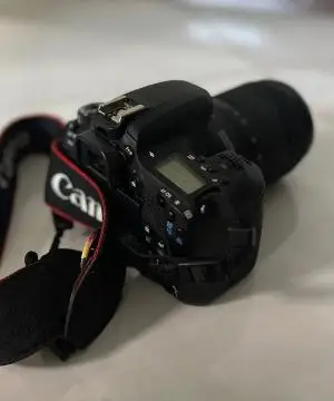 stock