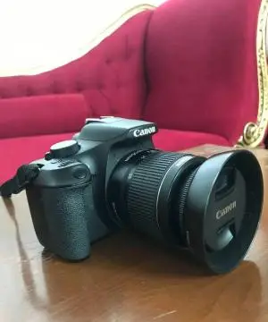 stock