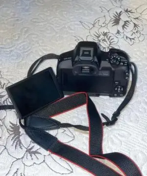 stock