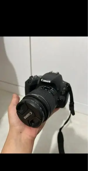 stock