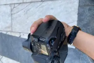 stock