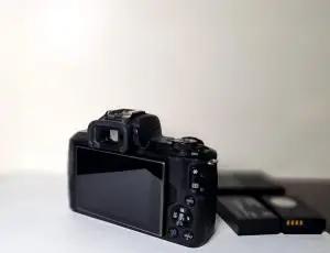 stock