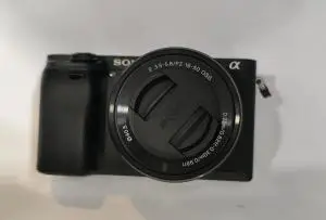 stock
