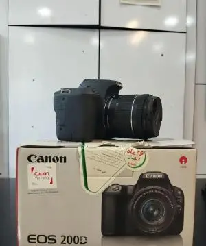 stock