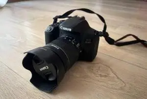 stock