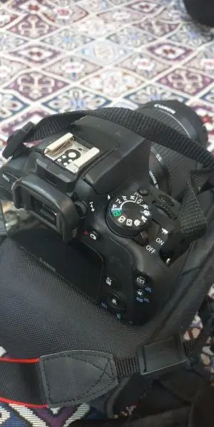stock