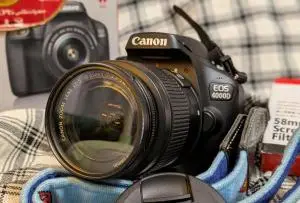 stock