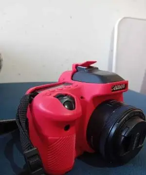 stock